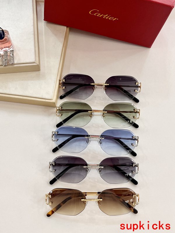 Cartier Luxury Sunglasses