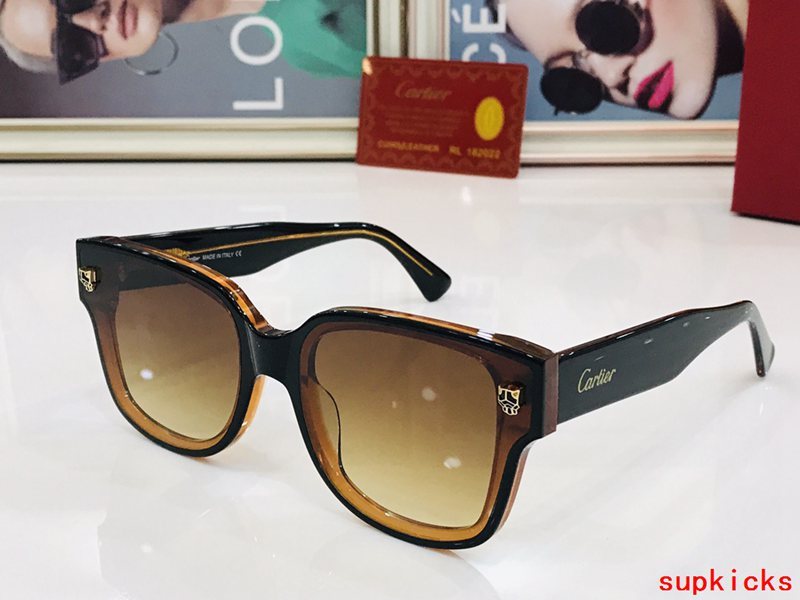 Cartier Luxury Sunglasses