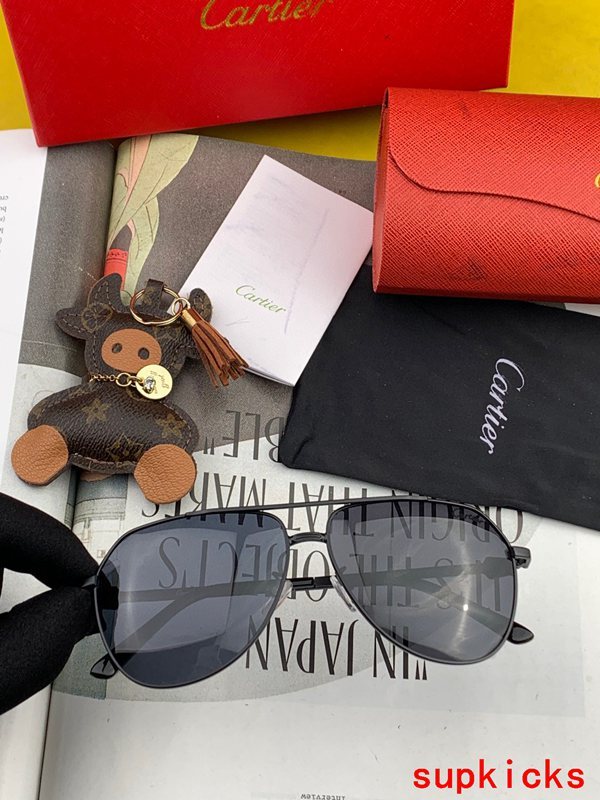 Cartier Luxury Sunglasses