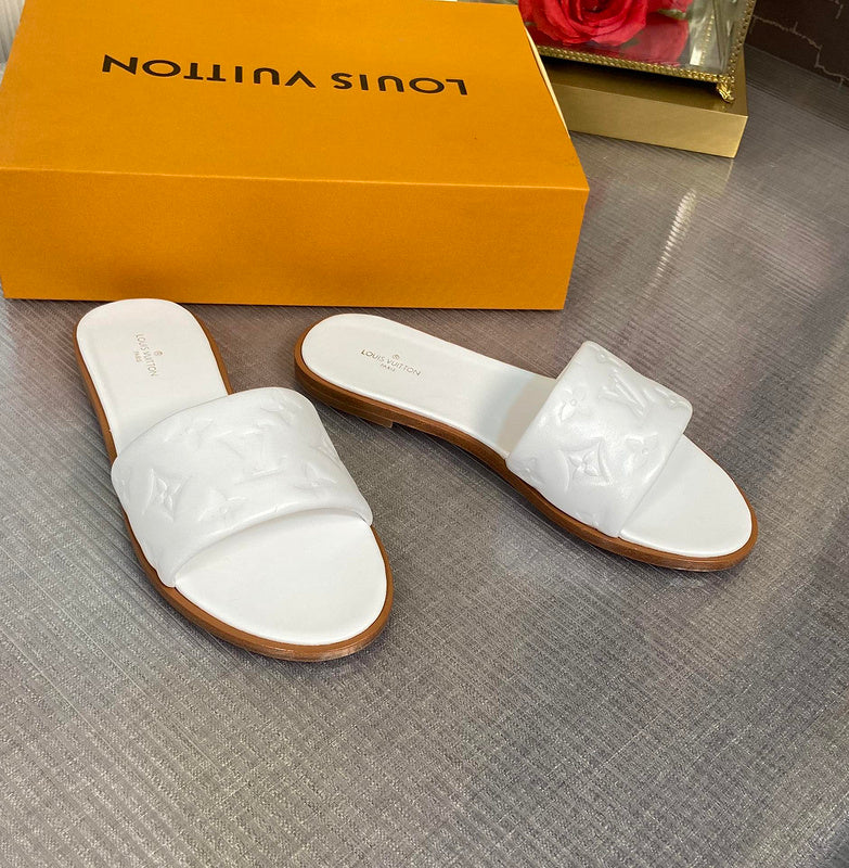 Louis Vuittion Luxury Shoes