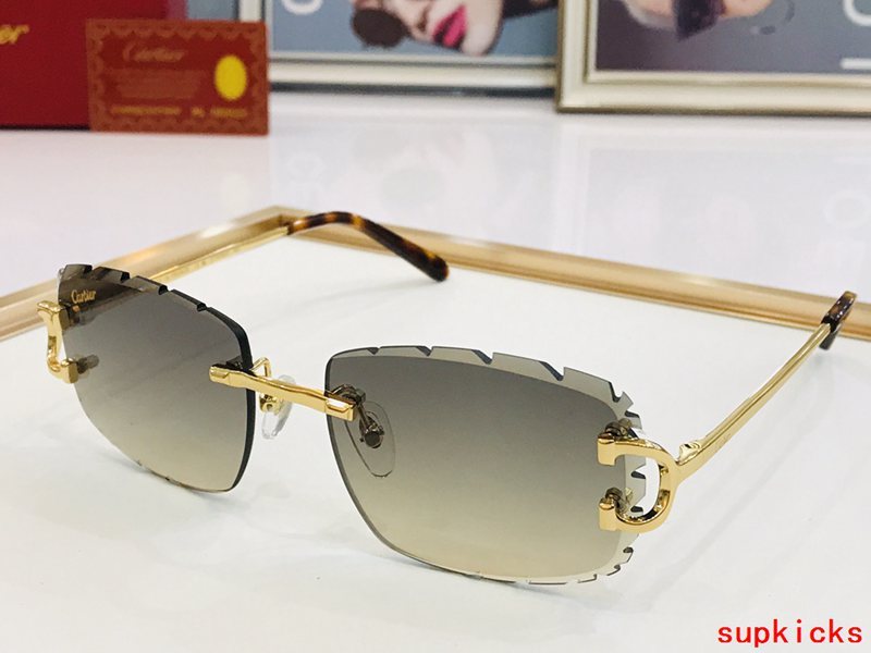 Cartier Luxury Sunglasses