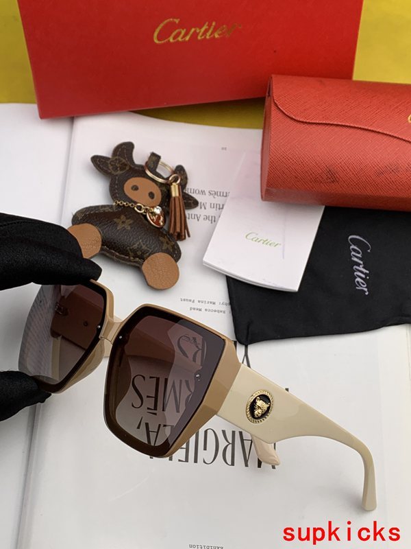 Cartier Luxury Sunglasses