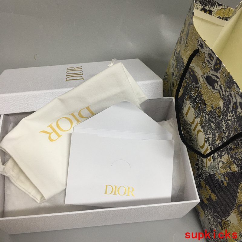 Dior Luxury Shoes