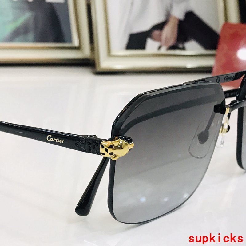 Cartier Luxury Sunglasses