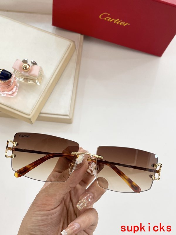 Cartier Luxury Sunglasses