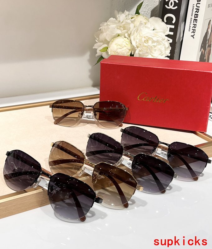 Cartier Luxury Sunglasses
