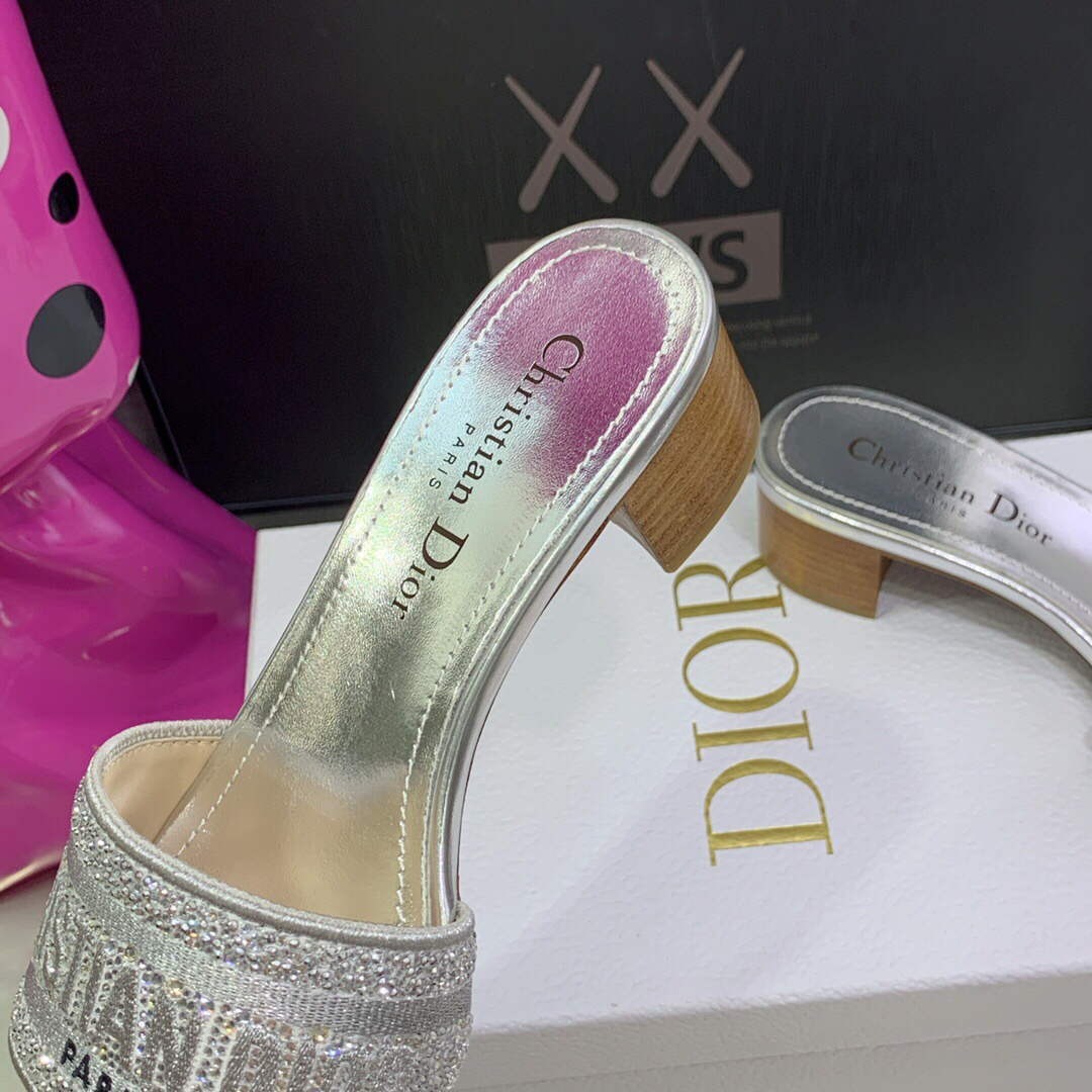 Dior Women’s Shoes Dway Heeled Slide Metallic Thread Strass