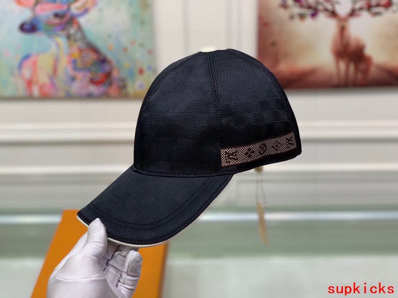Louis Vuitton Luxury Cap