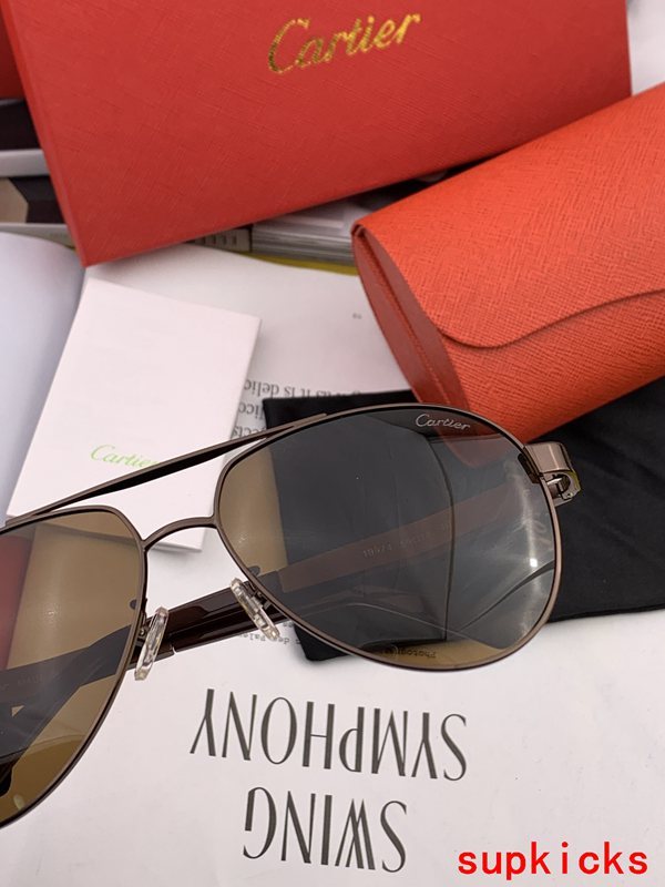 Cartier Luxury Sunglasses