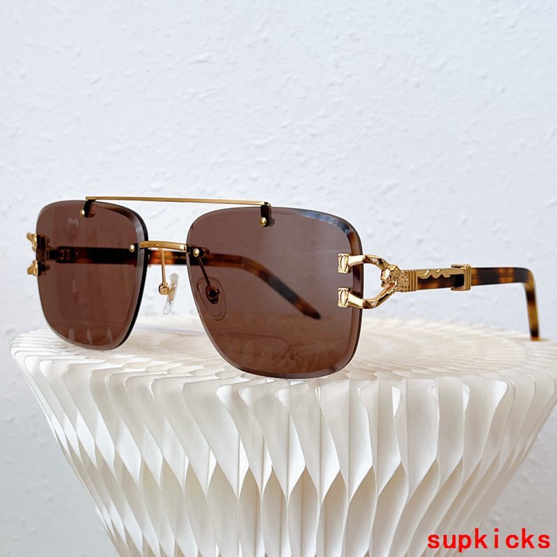 Cartier Luxury Sunglasses