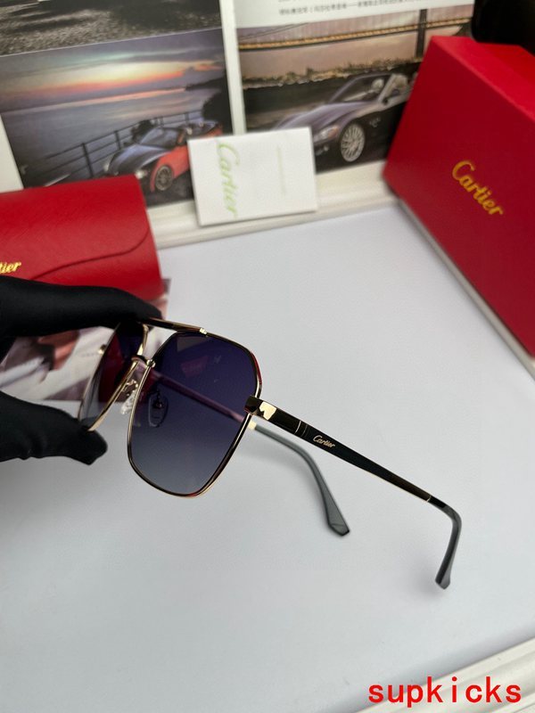 Cartier Luxury Sunglasses