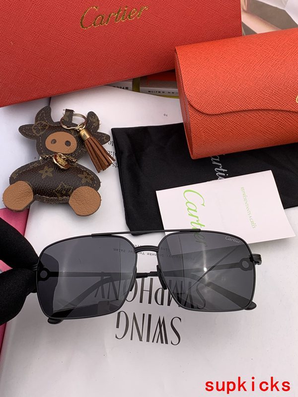 Cartier Luxury Sunglasses