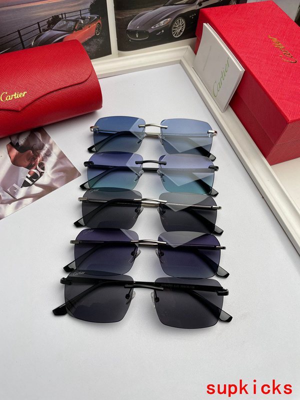 Cartier Luxury Sunglasses