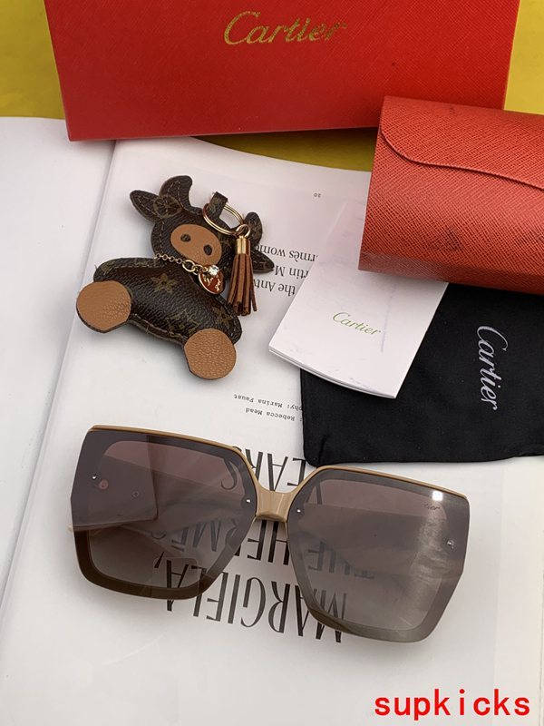 Cartier Luxury Sunglasses