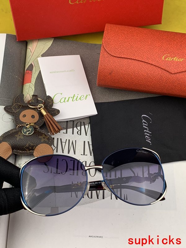 Cartier Luxury Sunglasses