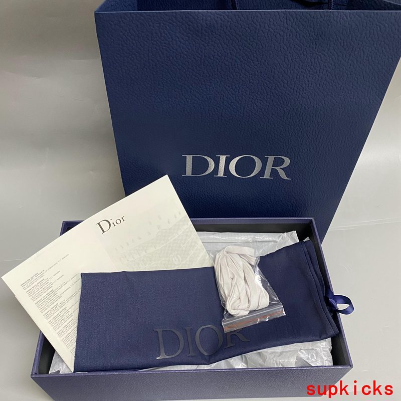 Dior Luxury Shoes