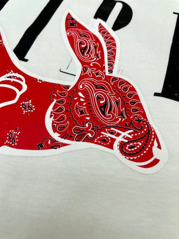 AMIR T-Shirts - 143