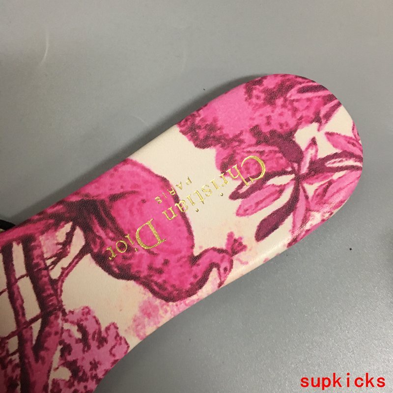 Dior Luxury Shoes