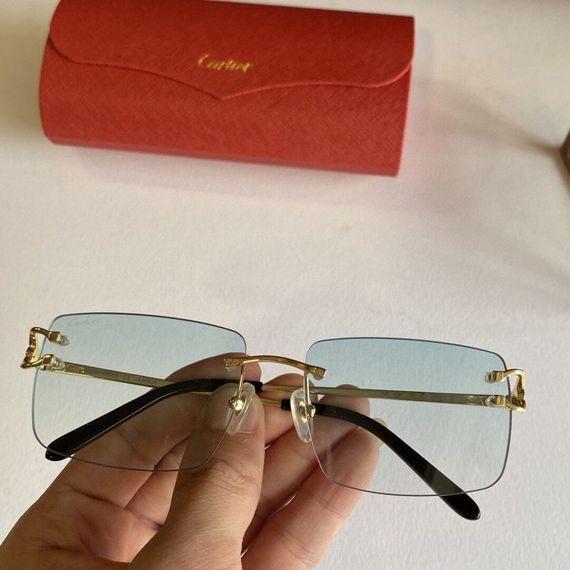 Cartier Luxury Sunglasses