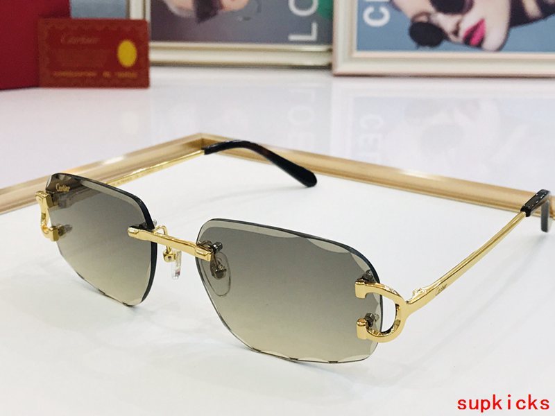 Cartier Luxury Sunglasses