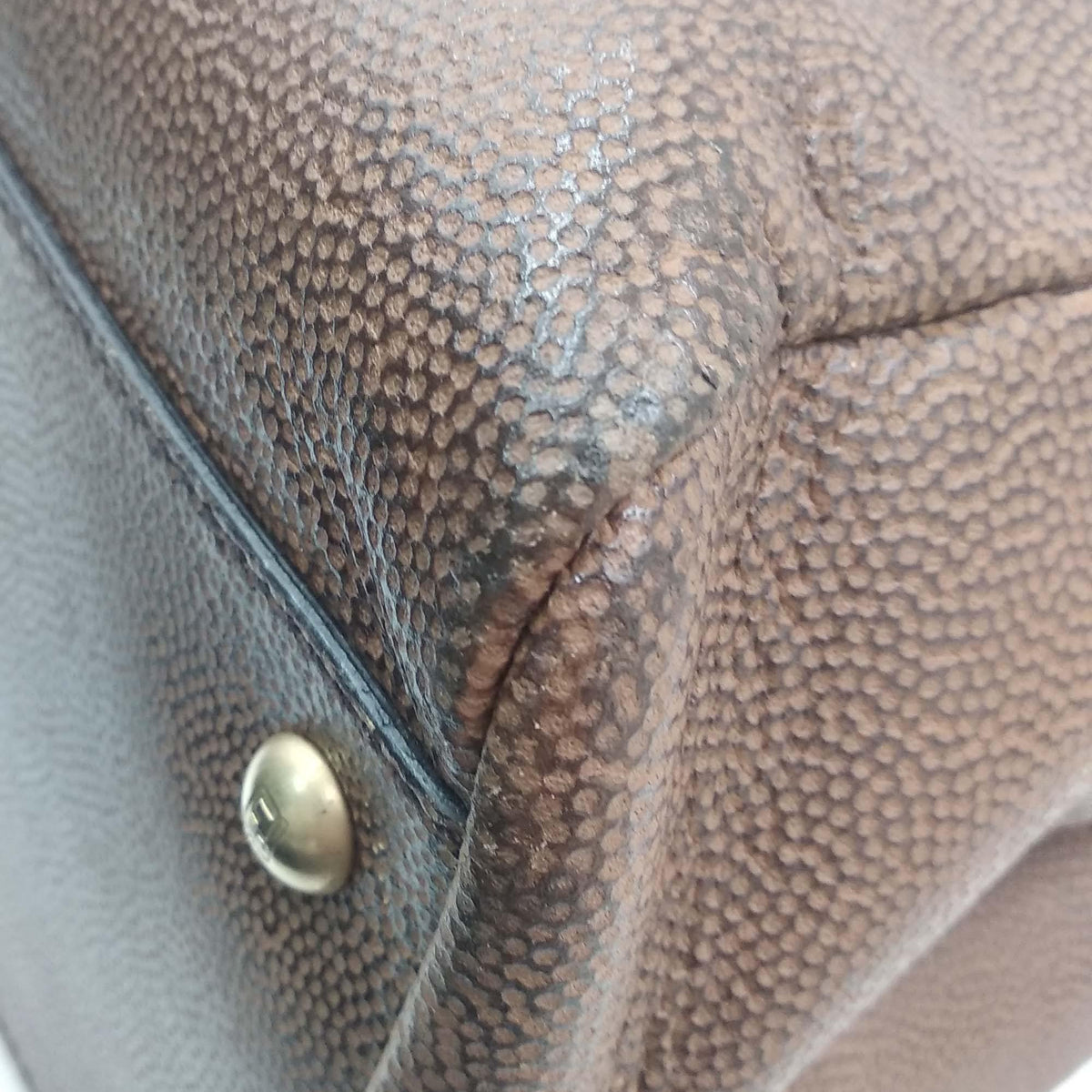 Large Peekaboo Brown