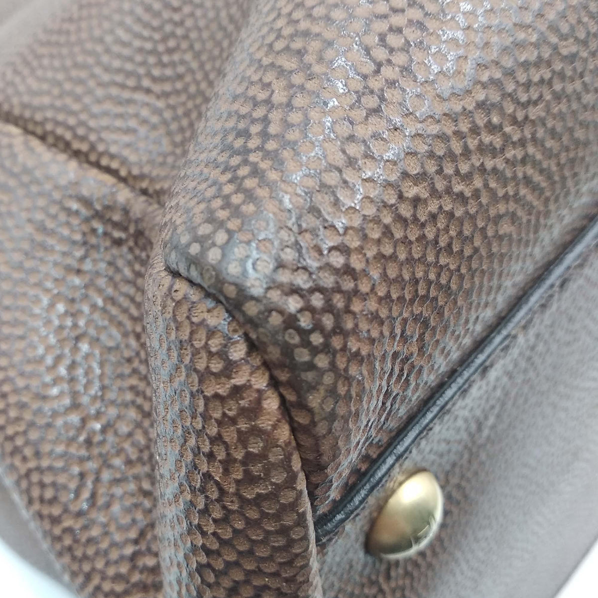 Large Peekaboo Brown