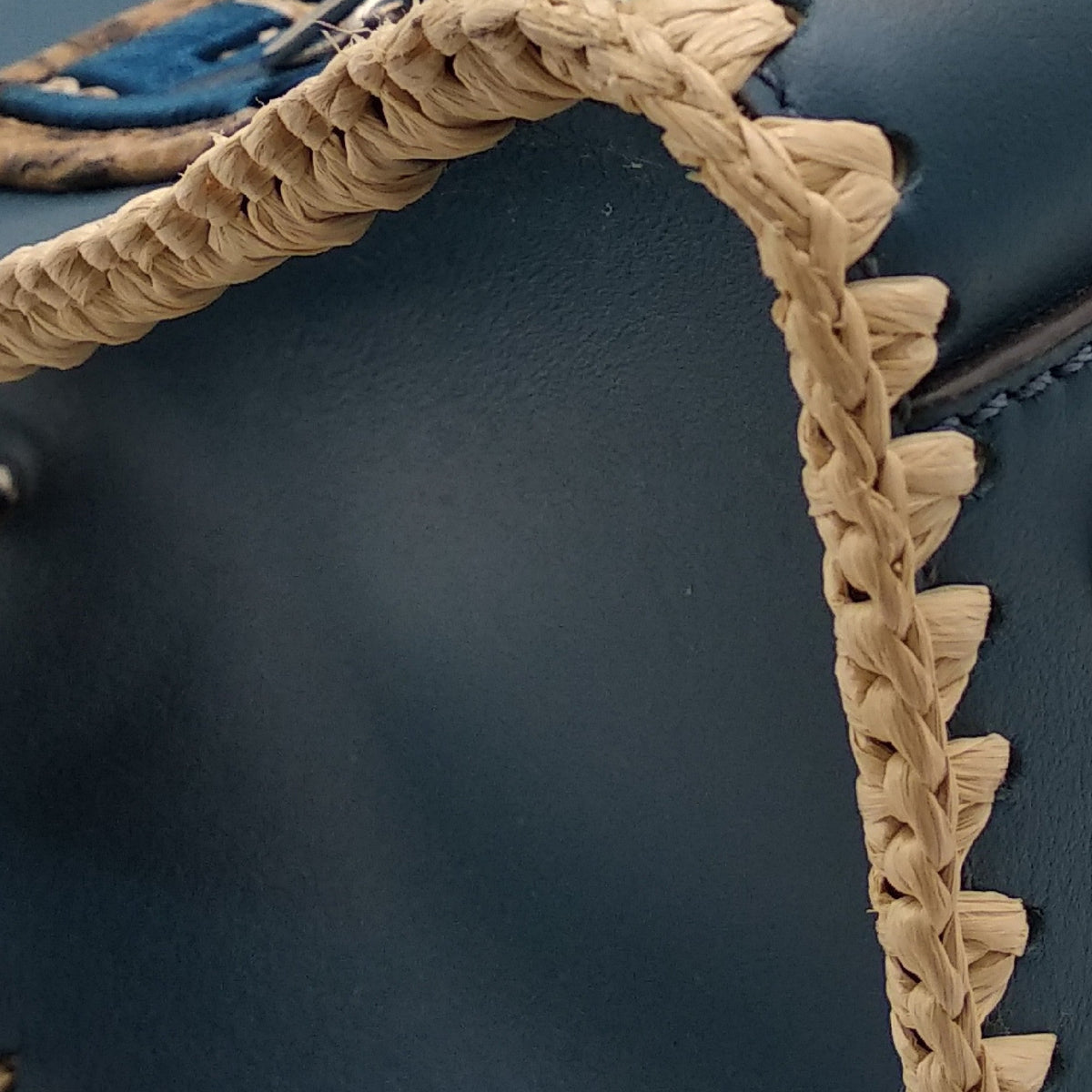 Small Snakeskin-Trimmed Runaway Blue