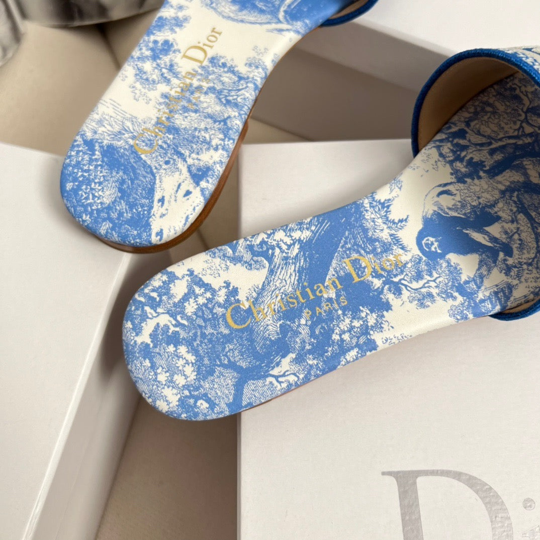 CD DWAY SLIDES