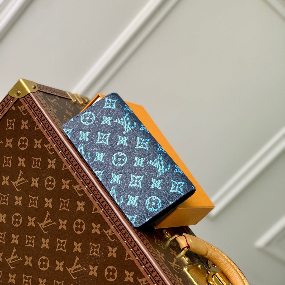 LOU AEROGRAM BRAZZA WALLET
