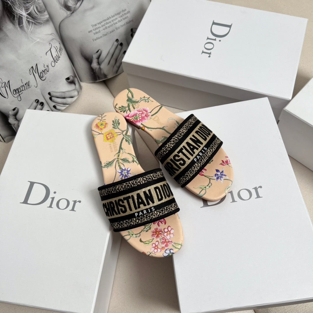 CD DWAY SLIDES