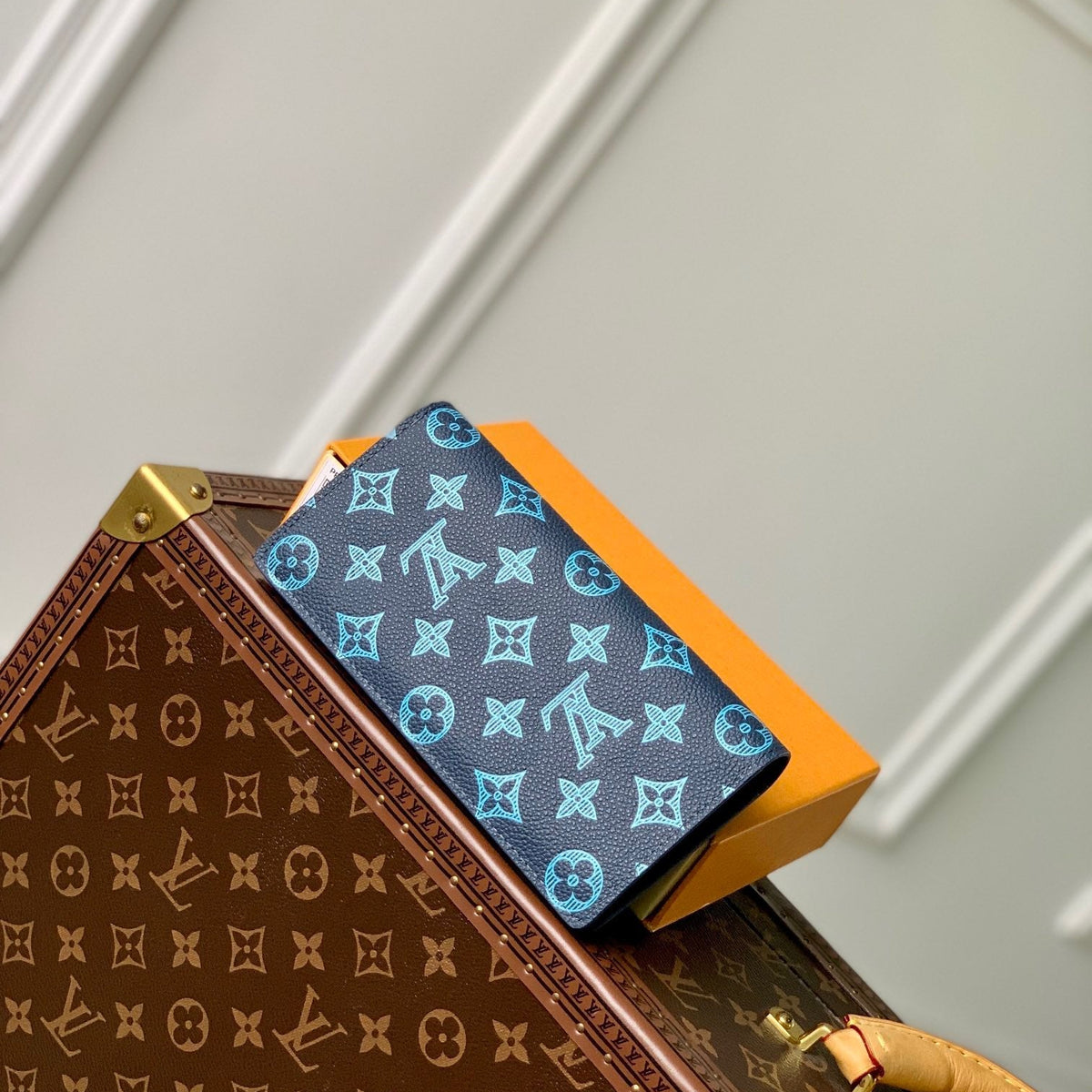 LOU AEROGRAM BRAZZA WALLET