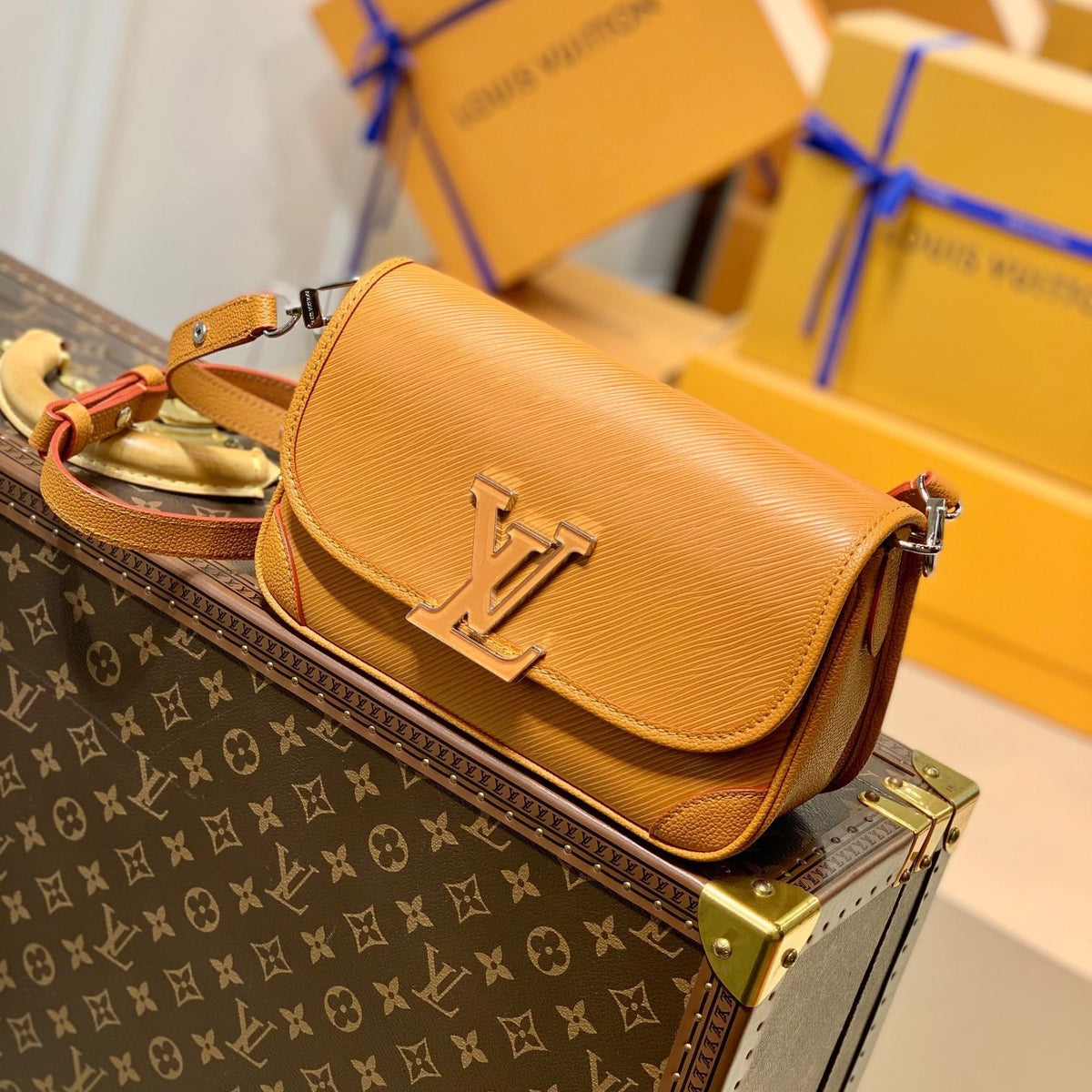 LOU BUCI BAG