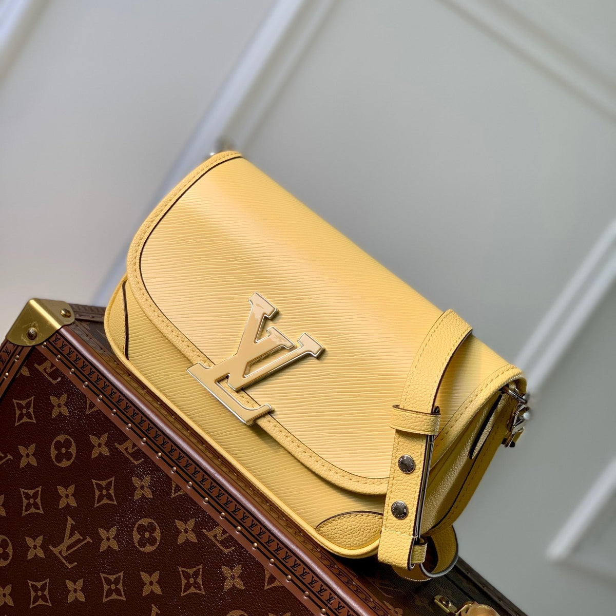 LOU BUCI BAG