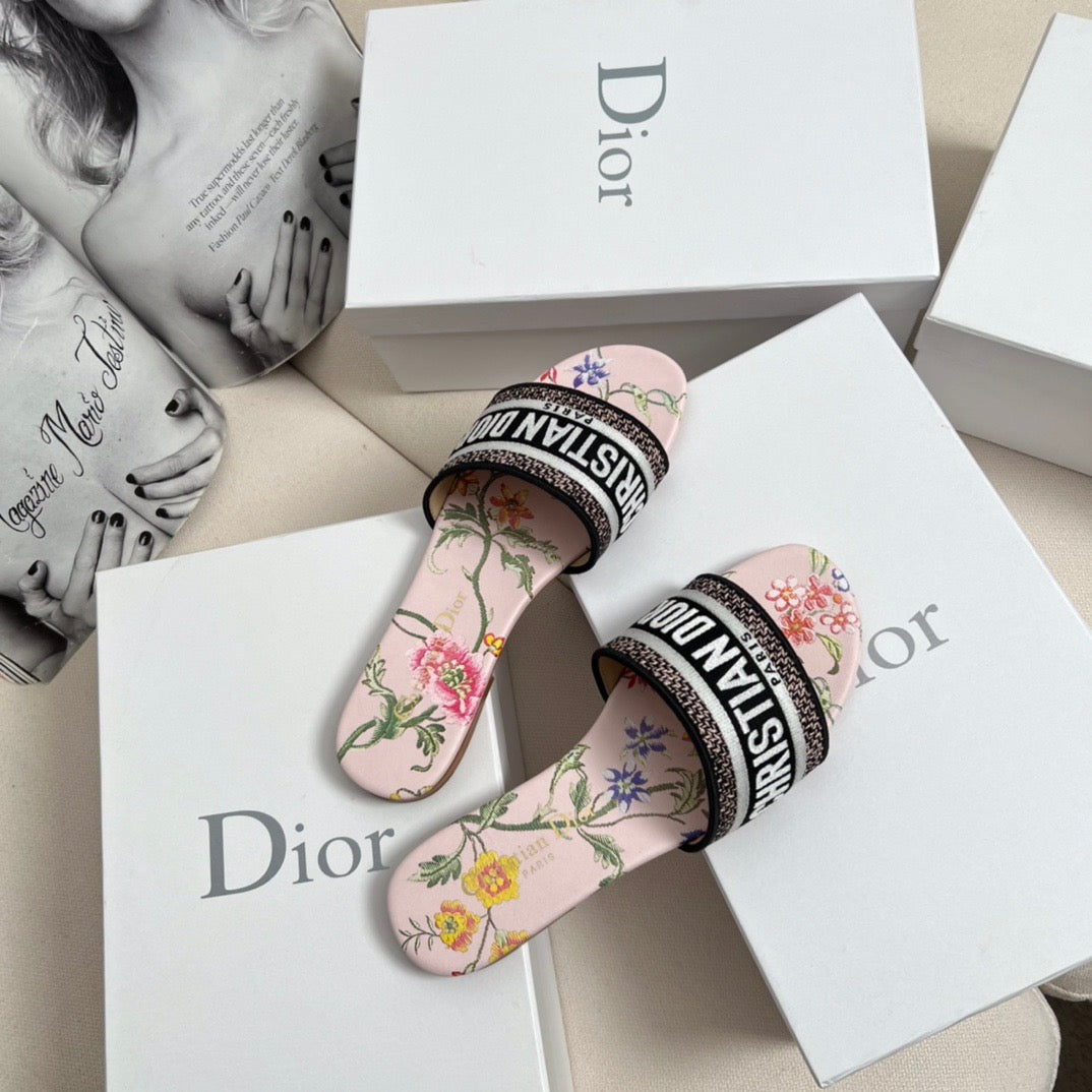 CD DWAY SLIDES