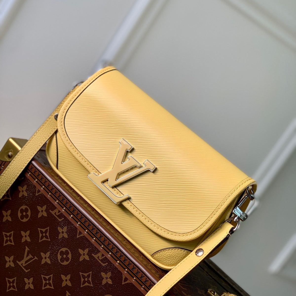 LOU BUCI BAG