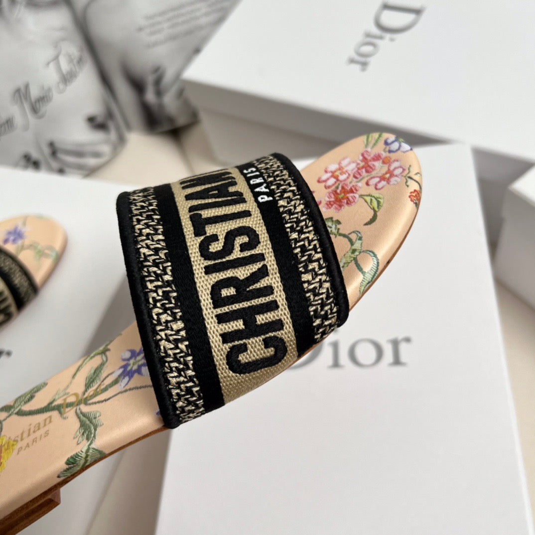 CD DWAY SLIDES