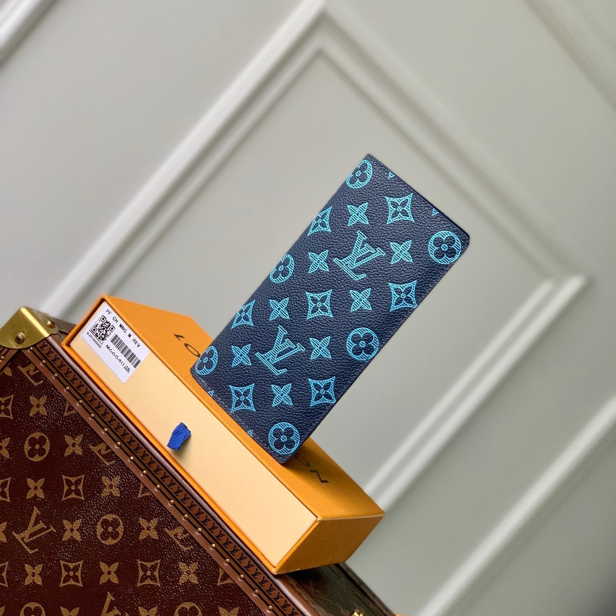 LOU AEROGRAM BRAZZA WALLET