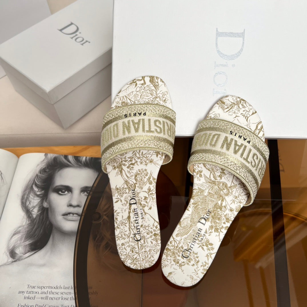 CD DWAY SLIDES