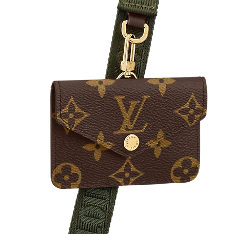 Louis Vuitton Félicie Strap & Go Monogram In Brown