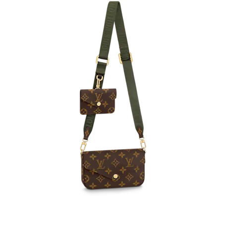 Louis Vuitton Félicie Strap & Go Monogram In Brown