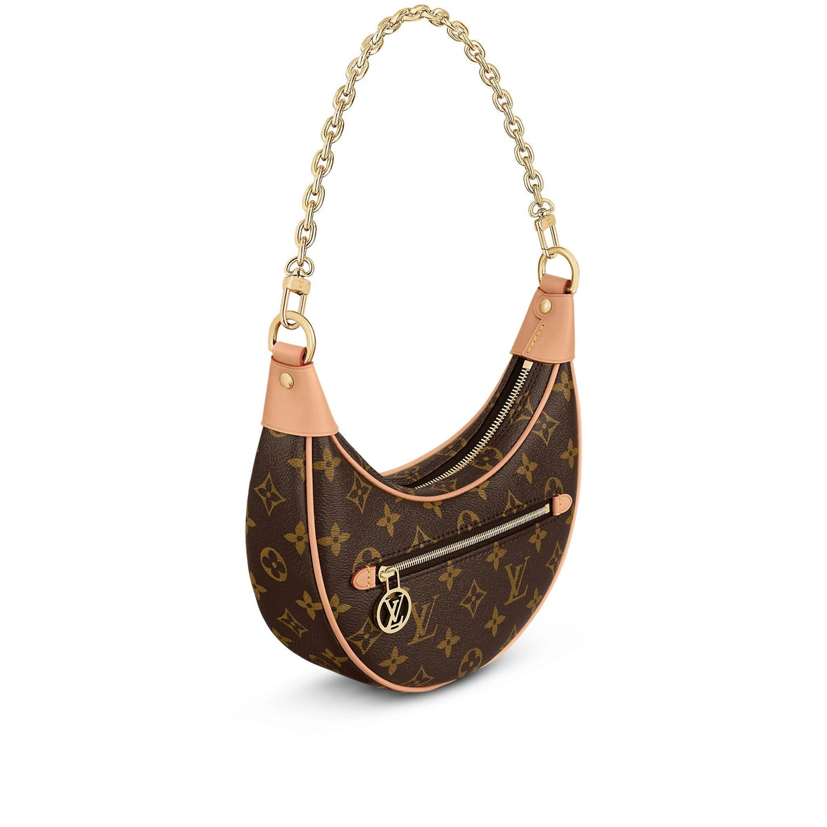 Louis Vuitton Loop Baguette Bag Monogram