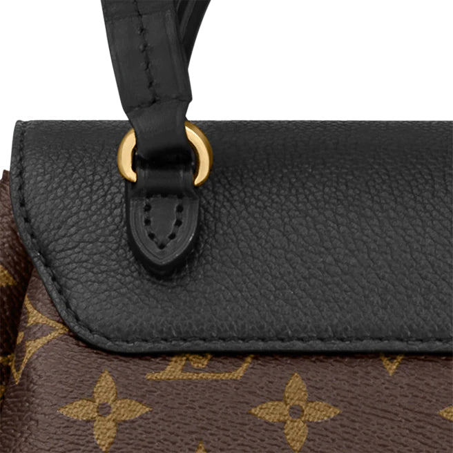 Louis Vuitton Montsouris PM