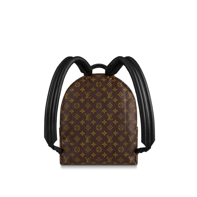 Louis Vuitton Palm Springs MM Monogram Canvas
