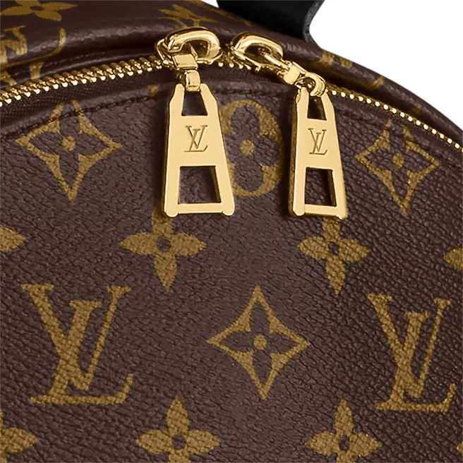 Louis Vuitton Palm Springs MM Monogram Canvas