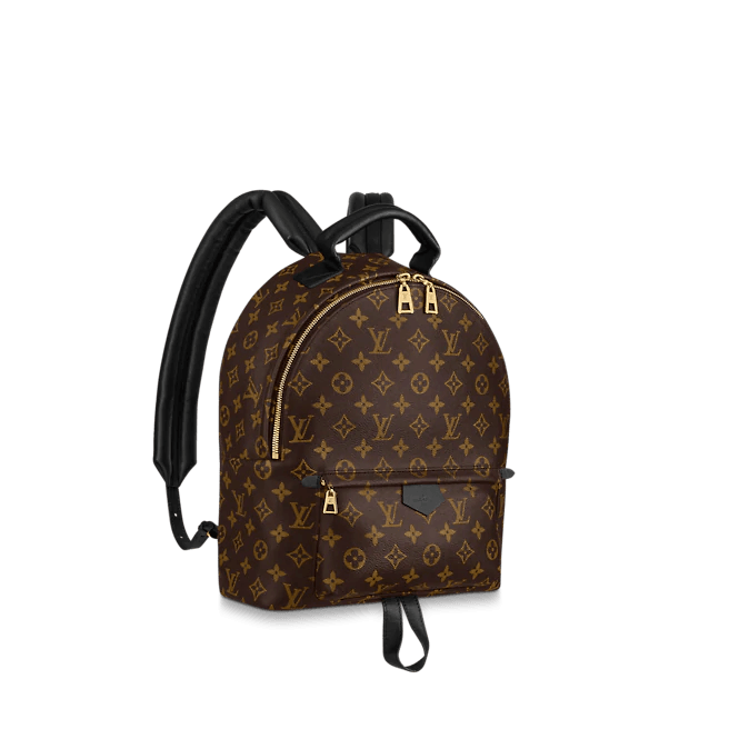 Louis Vuitton Palm Springs MM Monogram Canvas