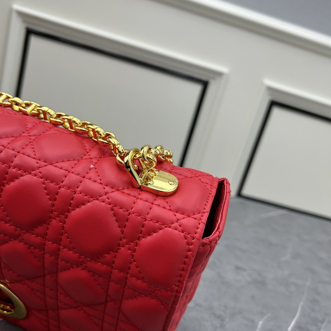 Dir Caro Bag