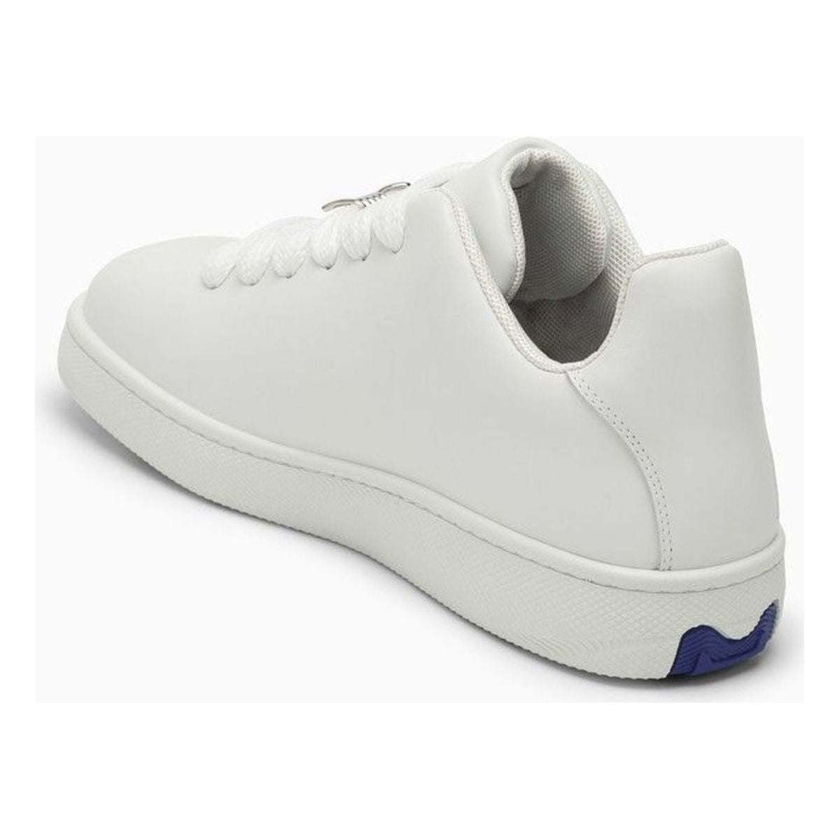 Box Sneakers
